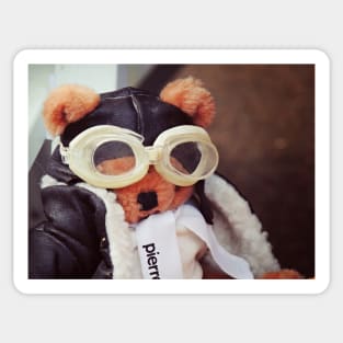 Teddy Pierre The Aviator Sticker